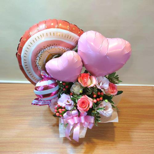 �u��/�{�[�z���C���{�[�v�o���[���A�����W�����g5