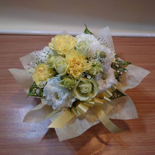 �y�b�g�����ւ̂������A�����W�����g�u���C�v