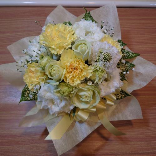 �y�b�g�����ւ̂������A�����W�����g�u���C�v2