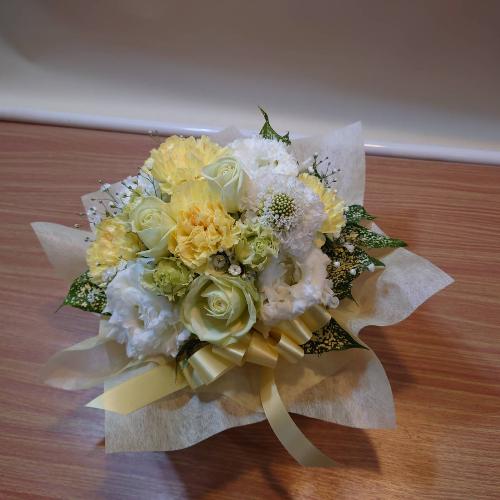 �y�b�g�����ւ̂������A�����W�����g�u���C�v5