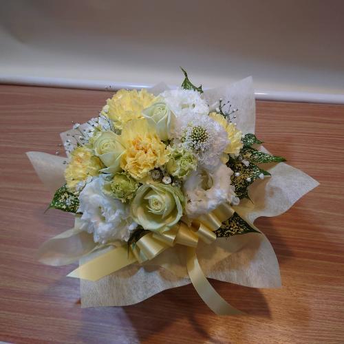 �y�b�g�����ւ̂������A�����W�����g�u���C�v6