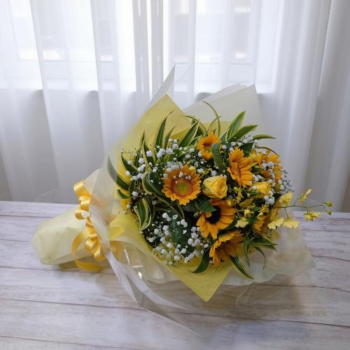 �ẴI�X�X���ԑ��Ђ܂�������������u���P�v