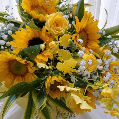 �ẴI�X�X���ԑ��Ђ܂�������������u���P�v3