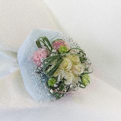 Rose butterfly
