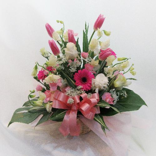 �t�ԁu�`���[���b�v�v������������s���N�A�����W�����g�u���̉萶���v2