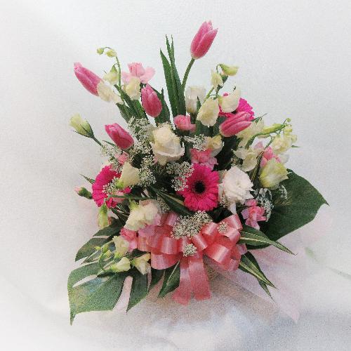 �t�ԁu�`���[���b�v�v������������s���N�A�����W�����g�u���̉萶���v3