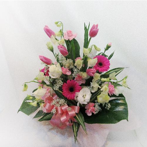 �t�ԁu�`���[���b�v�v������������s���N�A�����W�����g�u���̉萶���v4