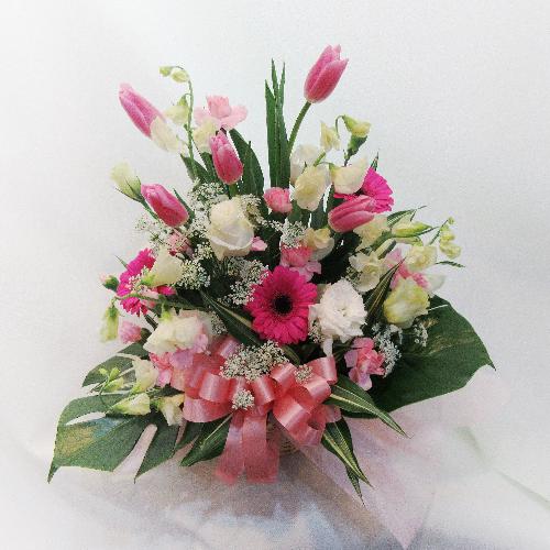 �t�ԁu�`���[���b�v�v������������s���N�A�����W�����g�u���̉萶���v5