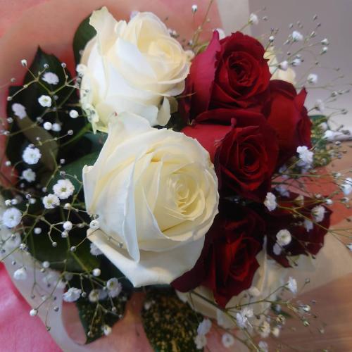 �K�N������������ԑ��u�[�P�ucute/�L���[�g�v5