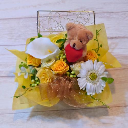 ���K�N�v���U�[�u�h�t�����[�̃W���G���[�{�b�N�X�A�����W�����g�u���u�x�A�v7