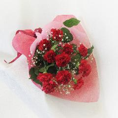 a dozen carnation/12ܤ֥͡β«