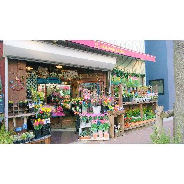 東京都武蔵野市の花屋 花ぽかぽか をご紹介 フラワーギフトはプロのお花屋さんにおまかせ フジテレビフラワーネット