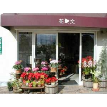 福岡県福岡市 西区の花屋 花文 をご紹介 フラワーギフトはプロのお花屋さんにおまかせ フジテレビフラワーネット