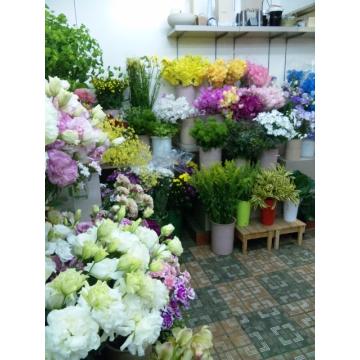 花屋 有 押川生花店 をご紹介 花屋が手届け配達 花束などフラワーギフトは フジテレビフラワーネット