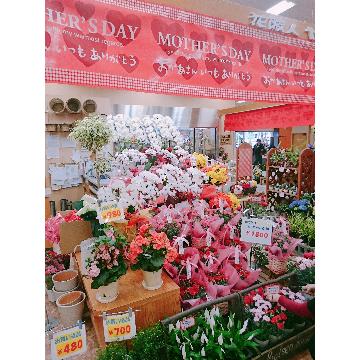 滋賀県長浜市の花屋 フラワーショップ ヤマヤ をご紹介 フラワーギフトはプロのお花屋さんにおまかせ フジテレビフラワーネット