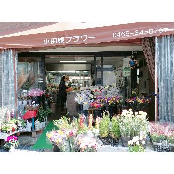 神奈川県小田原市の花屋 小田原フラワー をご紹介 フラワーギフトはプロのお花屋さんにおまかせ フジテレビフラワーネット