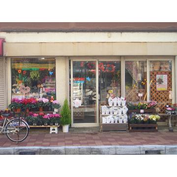 花屋 花房 をご紹介 花屋が手届け配達 花束などフラワーギフトは フジテレビフラワーネット