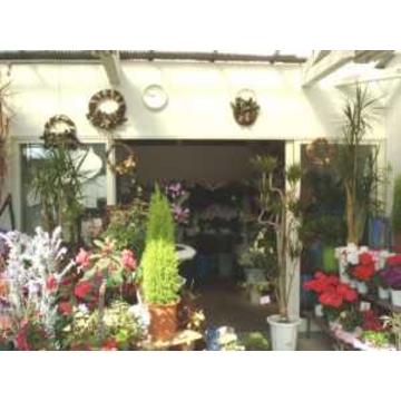 宮崎県延岡市の花屋 フラワーショップ花つる をご紹介 フラワーギフトはプロのお花屋さんにおまかせ フジテレビフラワーネット