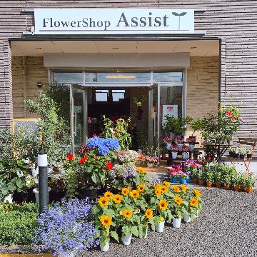 埼玉県さいたま市 緑区の花屋 Flower Shop Assist ﾌﾗﾜｰｼｮｯﾌﾟｱｼｽﾄ をご紹介 フラワーギフトはプロのお花屋さん におまかせ フジテレビフラワーネット
