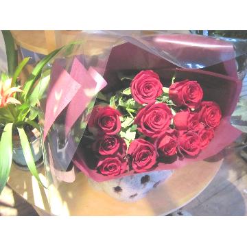 ＜フジテレビフラワーネット＞ Le jardan des roses 赤い薔薇の咲き誇る庭