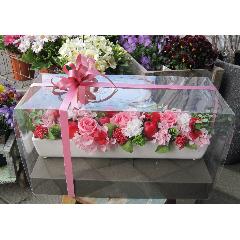 pomme rouge�ʥݥ�ࡦ�롼�����