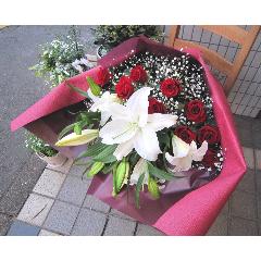 TRAD  ��RED &WHITE��