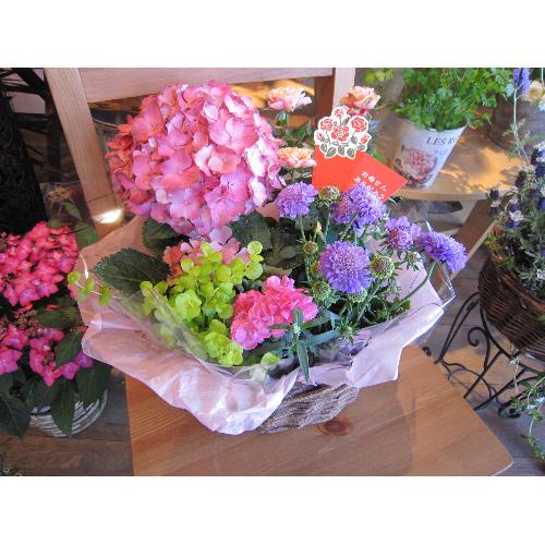 �G�߂̂��Ԃ̊񂹃o�X�P�b�g�B