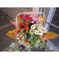 G߂̂Ԃ̊񂹃oXPbg@C