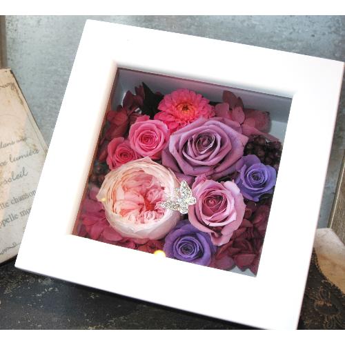 Quadrato iNAh[gjpink purple