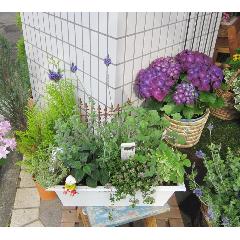 jardinet -ジャルディネー　私の小さなお庭