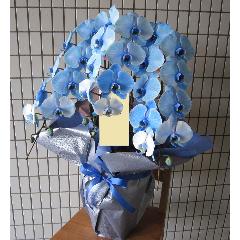 ������̥�Ǥ��Ĥ���ĳ�����֥롼���쥬�󥹡�����Ω