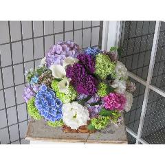 �ãϣΡ��ǣң��ڣɣ�