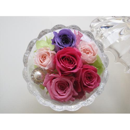 petit ange �v�e�B�@�A���W��