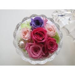 petit ange �v�e�B�@�A���W��