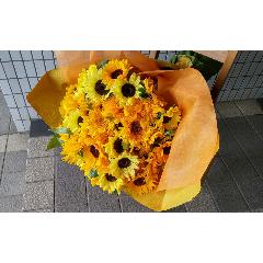 Many kisses on Special Day