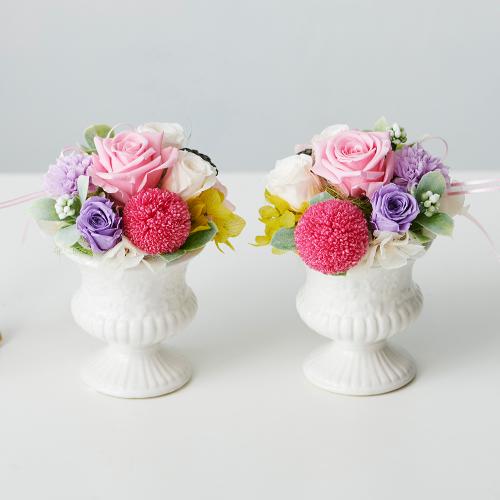 �����ݗp�@la stella�@�`���E�X�e���`