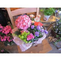 ����Τ��֤δ󤻥Х����åȭ�