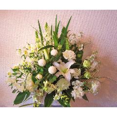 Peacefully �i�z���C�g�n�̃A�����W�����g�j