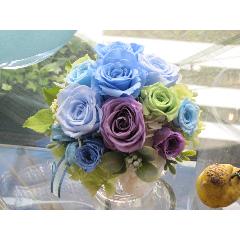 Le Ciel Bleu  롦 ֥롼