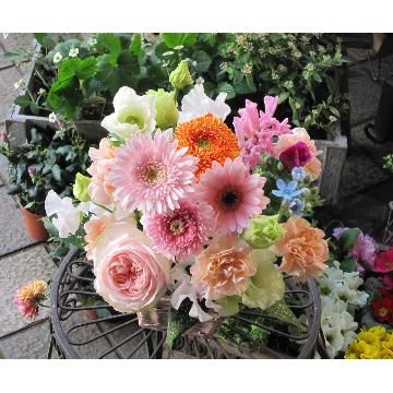 ＜フジテレビフラワーネット＞ A cote de toi （コテ ドゥ トワ）