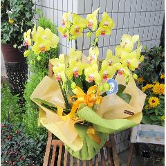 ` Fn@Ӓ@T{