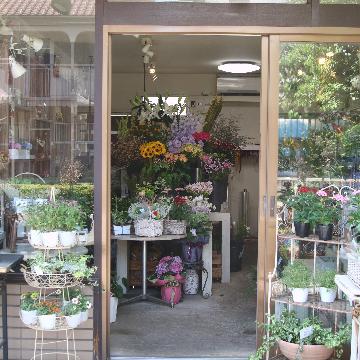 ԉ͂zBIԑȂǃt[MtǵytWert[lbgz