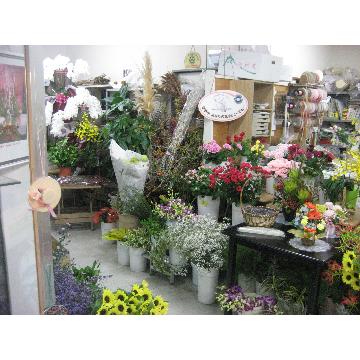 宮城県仙台市 宮城野区の花屋 高澤生花店 をご紹介 フラワーギフトはプロのお花屋さんにおまかせ フジテレビフラワーネット