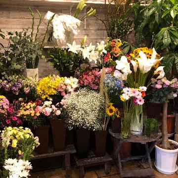 北海道札幌市 東区の花屋 株 富士生花店 をご紹介 フラワーギフトはプロのお花屋さんにおまかせ フジテレビフラワーネット