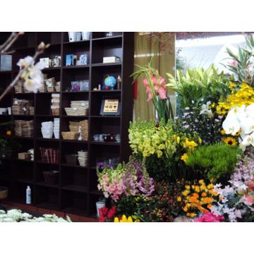 北海道札幌市 東区の花屋 株 富士生花店 をご紹介 フラワーギフトはプロのお花屋さんにおまかせ フジテレビフラワーネット