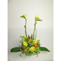 �Х�Τ��ޤ�������󥸥���