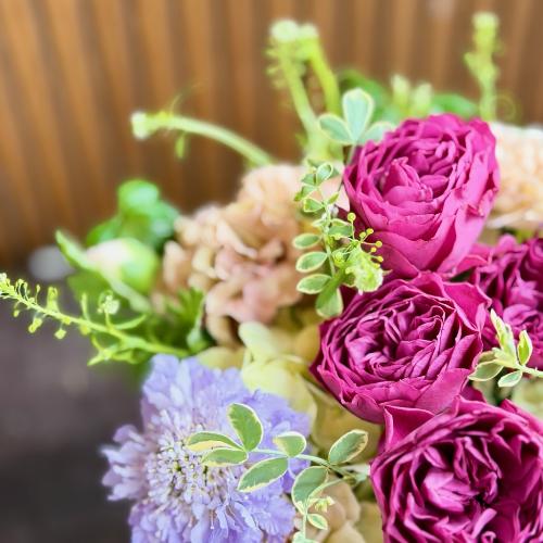 ��̓��A�����W�����g�w�v���e�B�[�}���x2