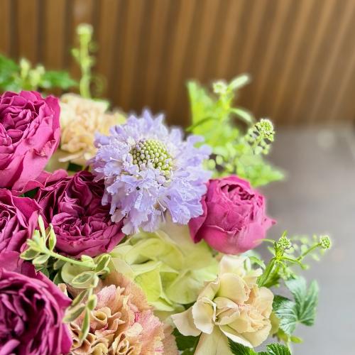 ��̓��A�����W�����g�w�v���e�B�[�}���x3