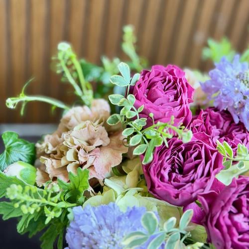 ��̓��A�����W�����g�w�v���e�B�[�}���x4