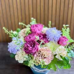 ��̓��A�����W�����g�w�v���e�B�[�}���x